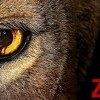Novinka: Zoo
